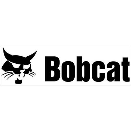 Bobcat